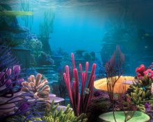 Fondo de pantalla Underwater 220x176