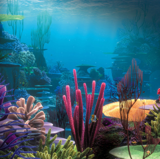 Underwater - Fondos de pantalla gratis para HP TouchPad