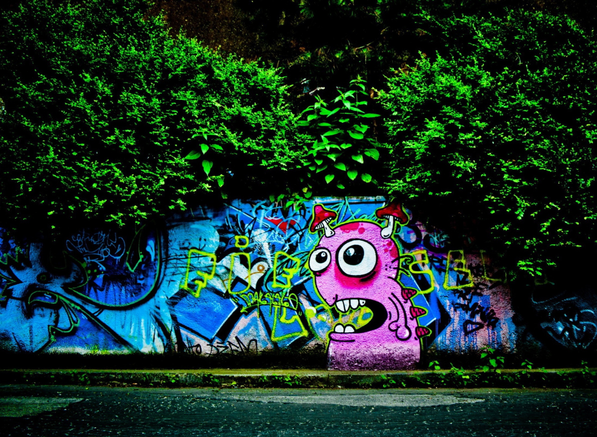 Graffiti And Trees wallpaper 1920x1408