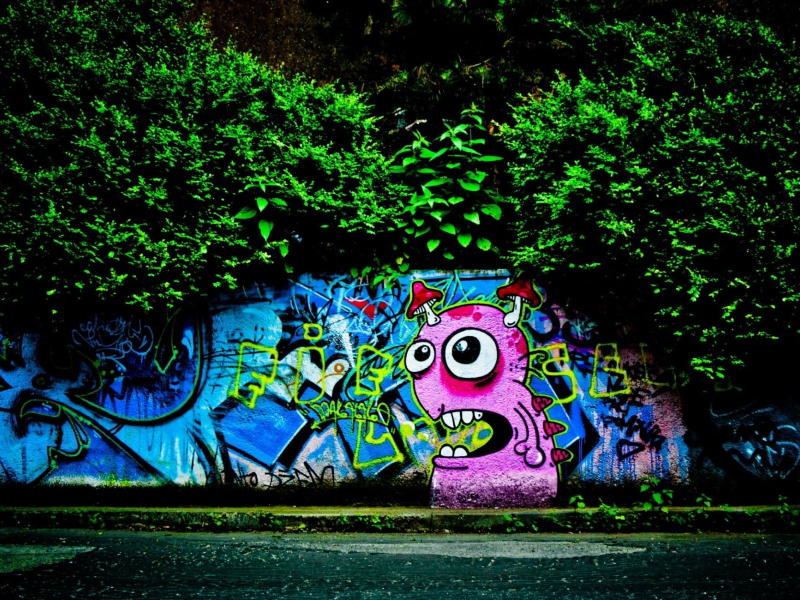 Обои Graffiti And Trees 800x600