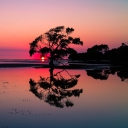 Screenshot №1 pro téma Beautiful Sunset Lake Landscape 128x128