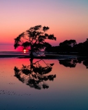 Beautiful Sunset Lake Landscape wallpaper 128x160