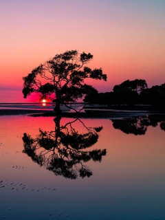 Das Beautiful Sunset Lake Landscape Wallpaper 240x320