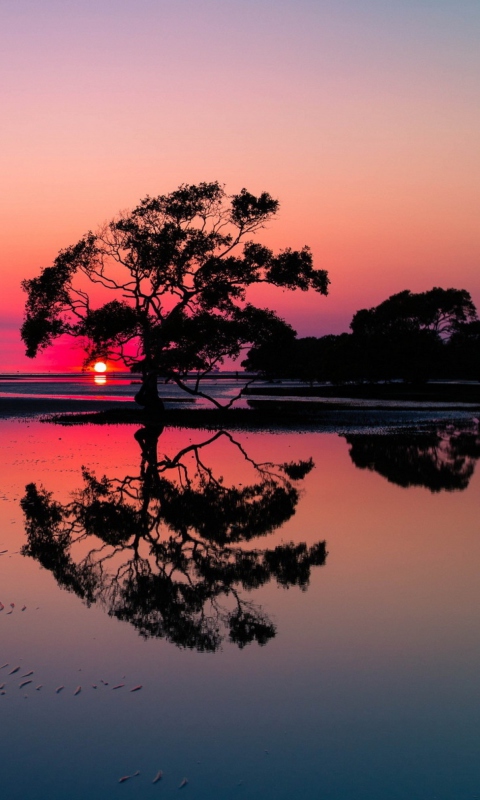 Das Beautiful Sunset Lake Landscape Wallpaper 480x800