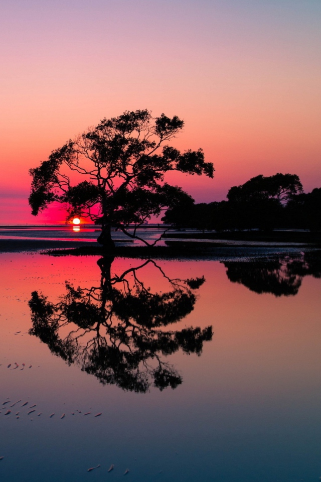 Sfondi Beautiful Sunset Lake Landscape 640x960