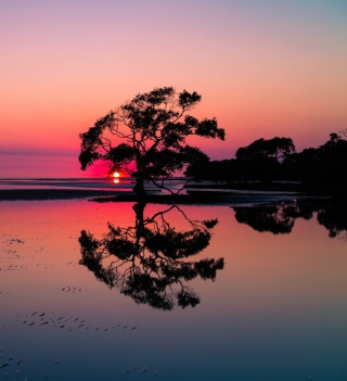 Beautiful Sunset Lake Landscape - Obrázkek zdarma pro 208x208