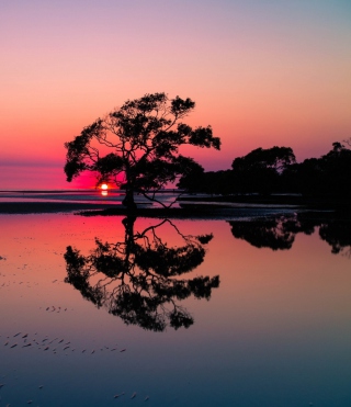 Beautiful Sunset Lake Landscape - Obrázkek zdarma pro 480x800