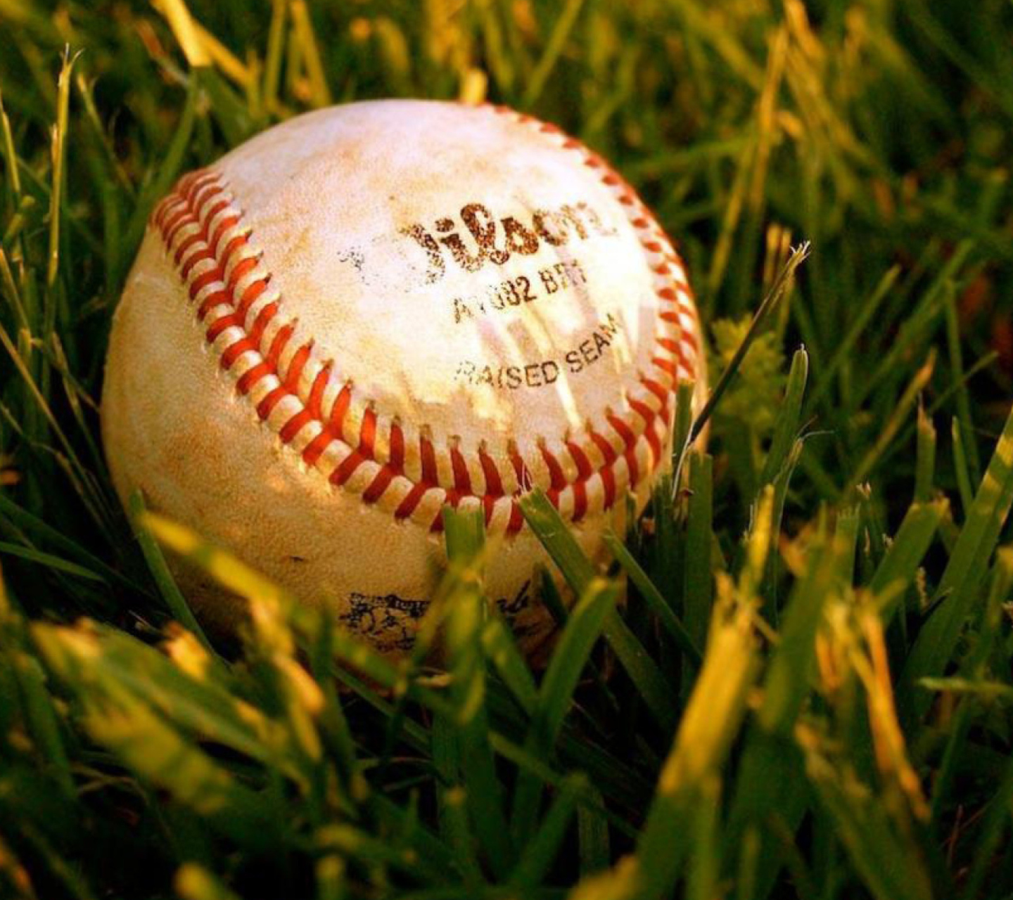 Fondo de pantalla Baseball Ball 1440x1280