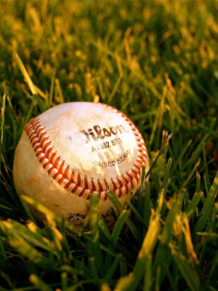 Fondo de pantalla Baseball Ball 240x320