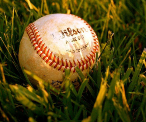 Baseball Ball wallpaper 480x400