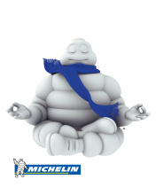 Das Michelin Wallpaper 176x220
