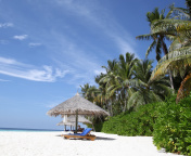 Maldives White Beach screenshot #1 176x144