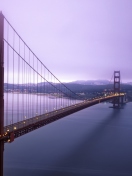 Screenshot №1 pro téma Fog Surround Golden Gate 132x176