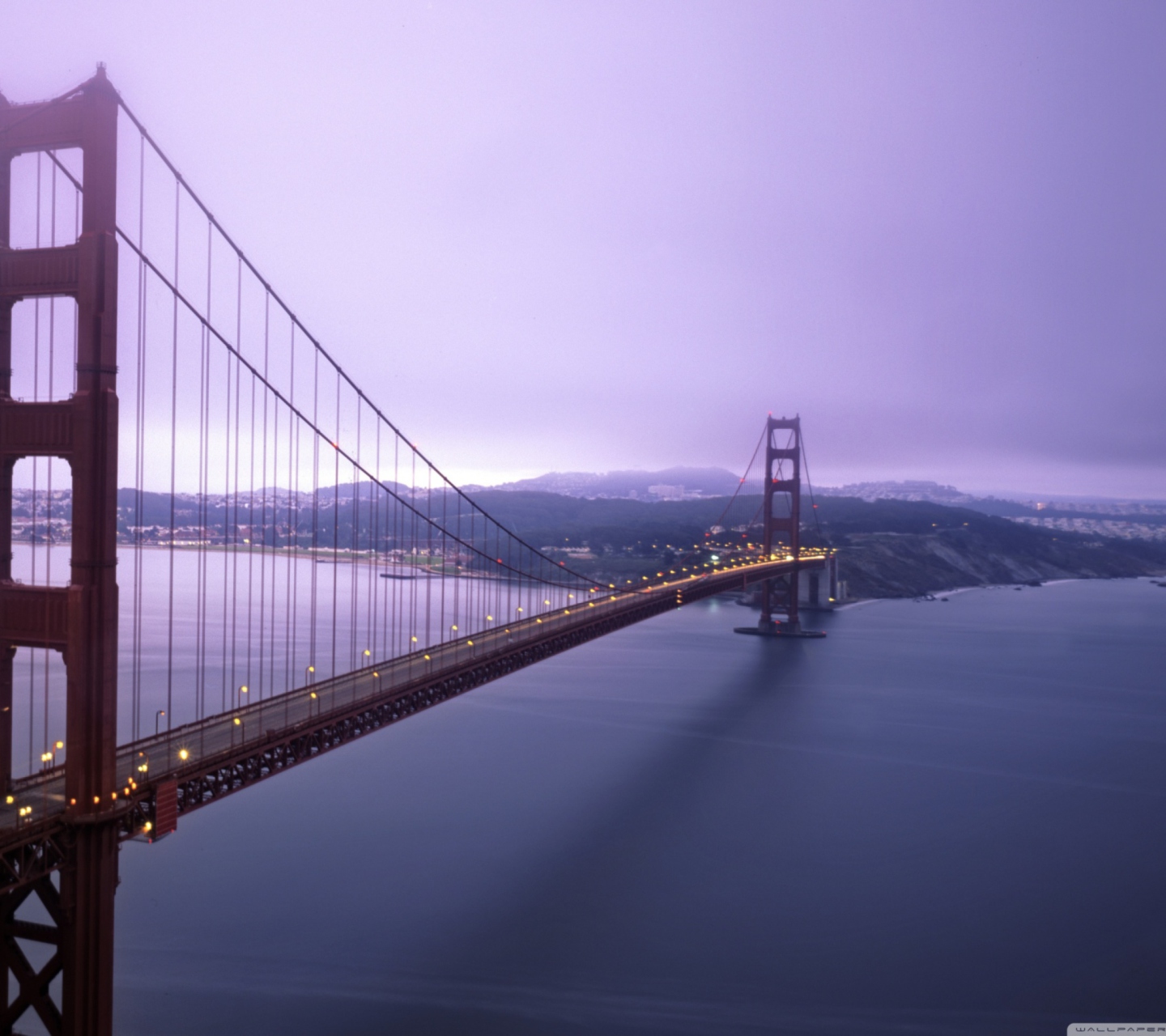 Screenshot №1 pro téma Fog Surround Golden Gate 1440x1280
