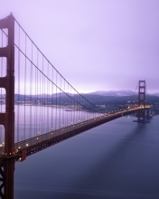 Обои Fog Surround Golden Gate 176x220