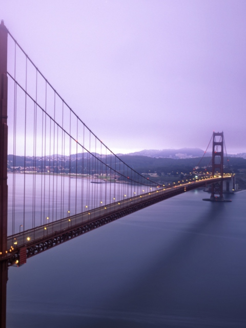 Обои Fog Surround Golden Gate 480x640
