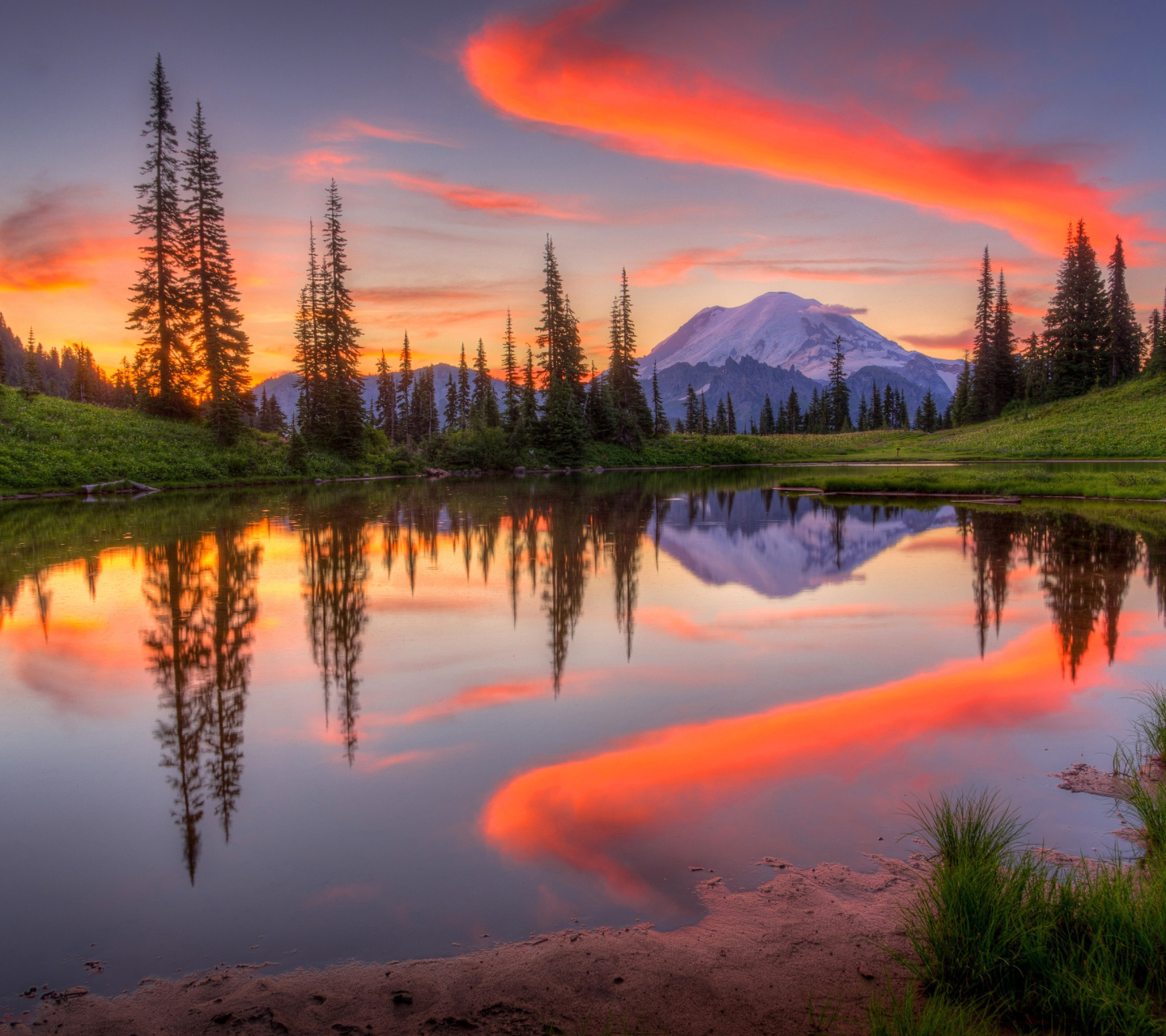 Fondo de pantalla Emerald Lake, Carcross, Yukon 1440x1280