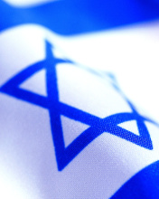 Das Israel Flag Wallpaper 176x220