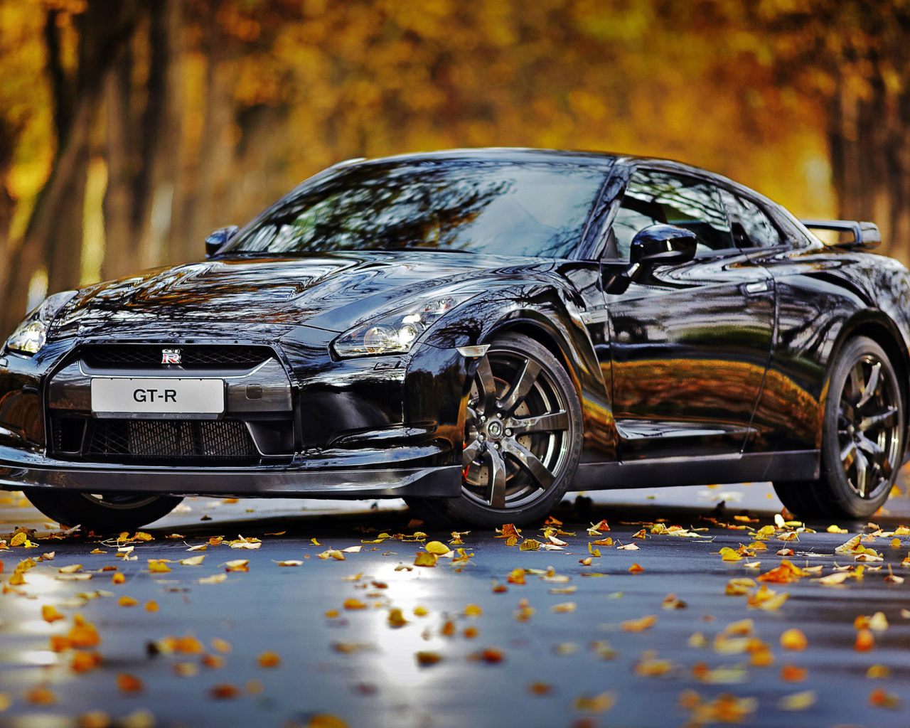 Обои Nissan GT R in Autumn Forest 1280x1024