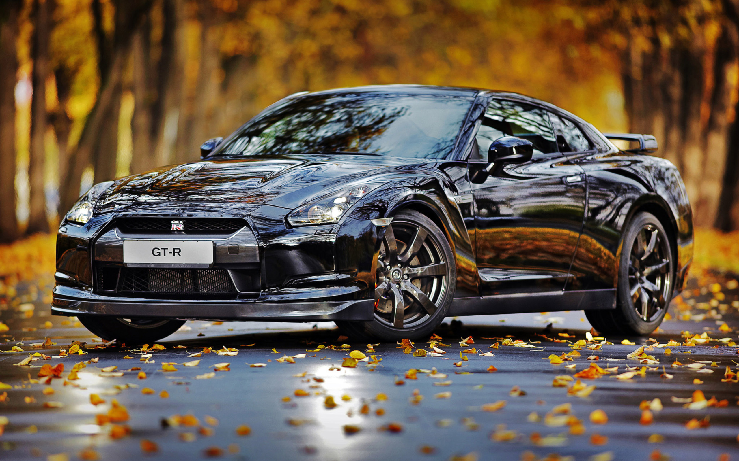 Обои Nissan GT R in Autumn Forest 2560x1600