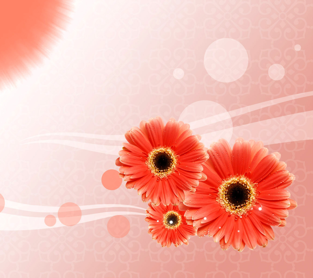 Fondo de pantalla Card with gerberas 1080x960