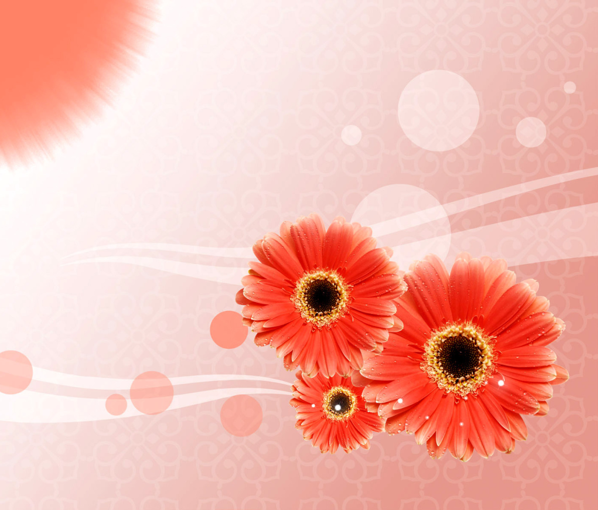 Card with gerberas wallpaper 1200x1024