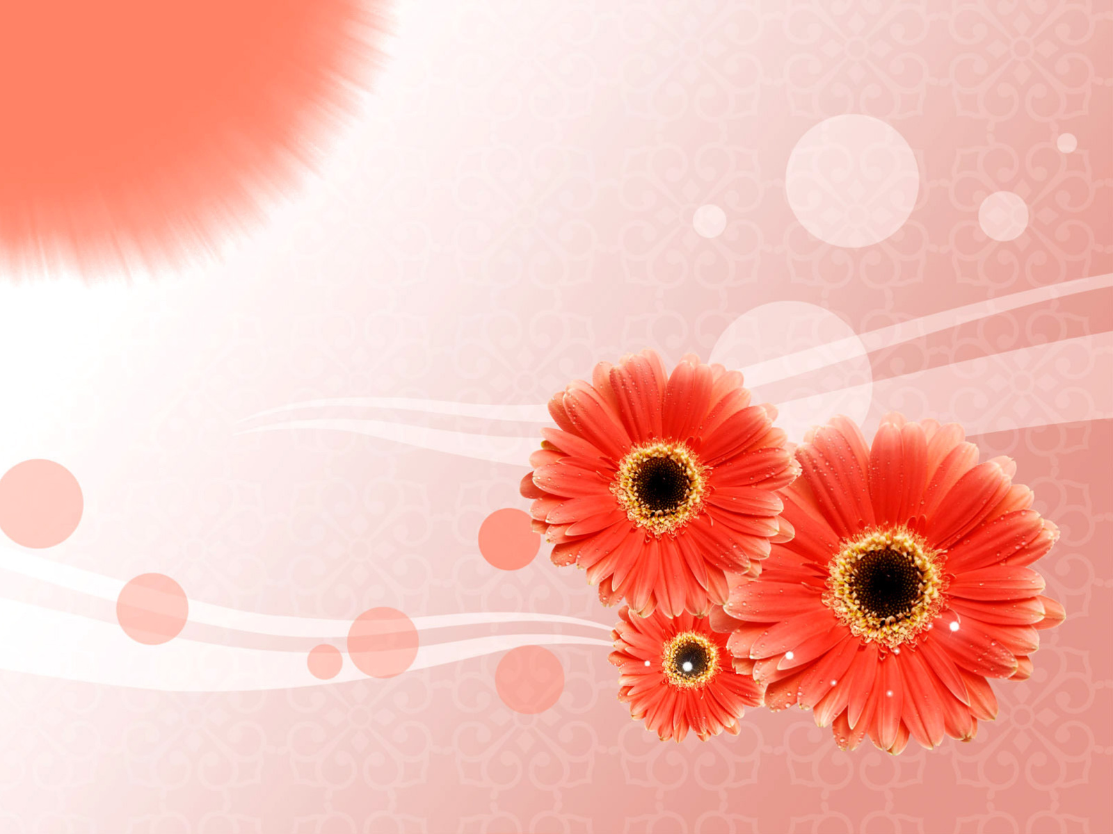 Обои Card with gerberas 1600x1200