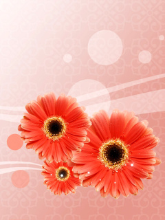 Card with gerberas screenshot #1 240x320