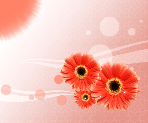 Card with gerberas wallpaper 480x400