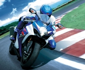 Moto GP Suzuki wallpaper 176x144