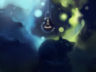 Black Cat screenshot #1 320x240