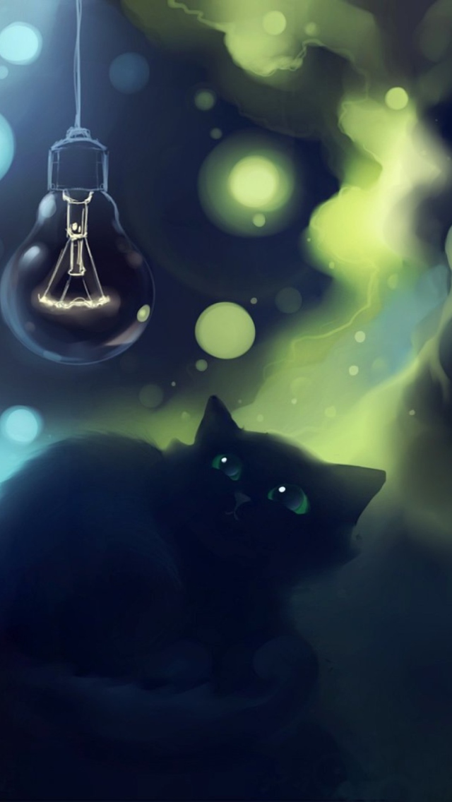 Black Cat wallpaper 640x1136