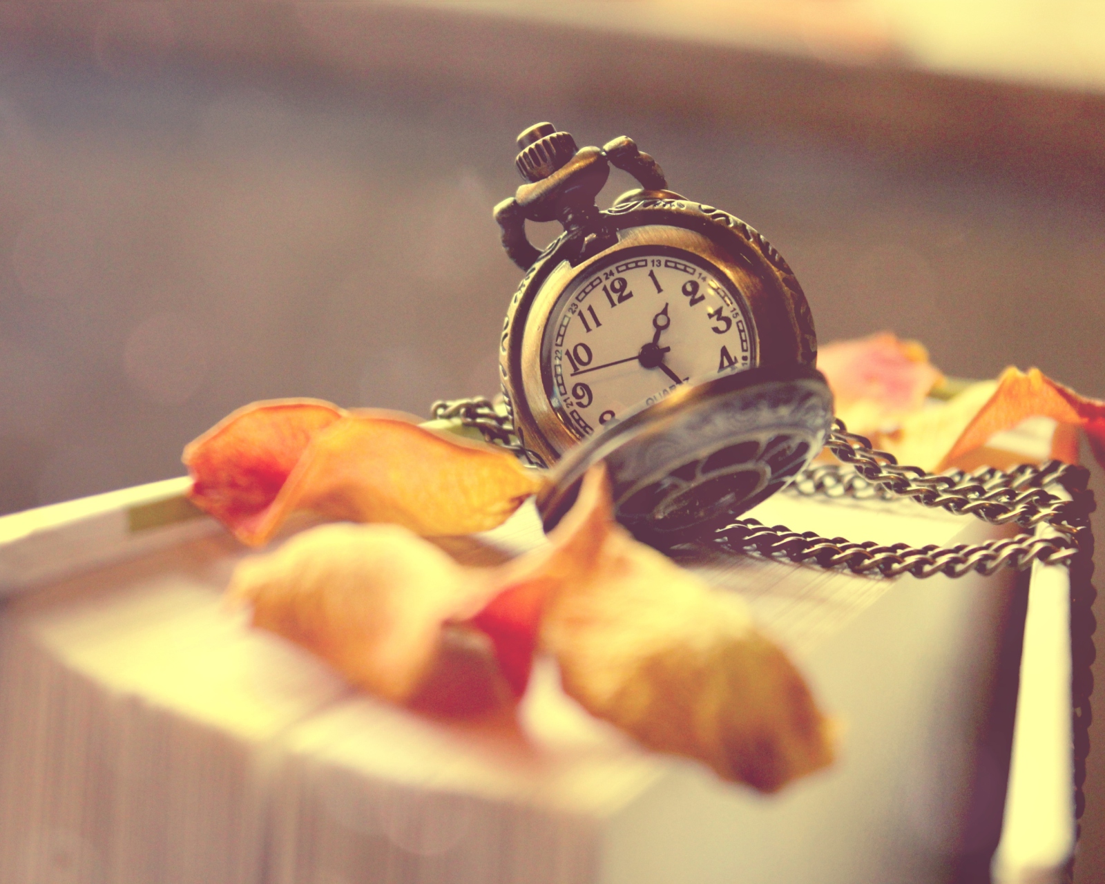 Vintage Watch And Petals wallpaper 1600x1280