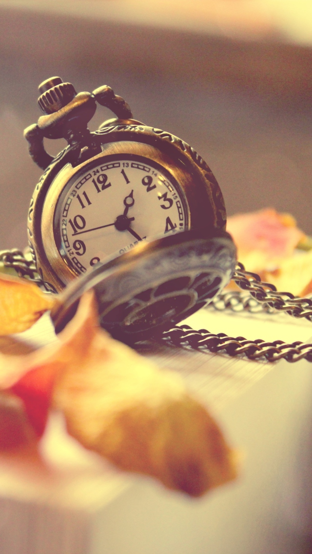 Vintage Watch And Petals screenshot #1 640x1136