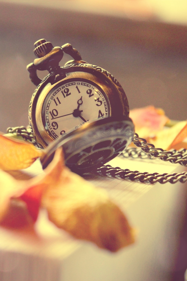 Vintage Watch And Petals screenshot #1 640x960