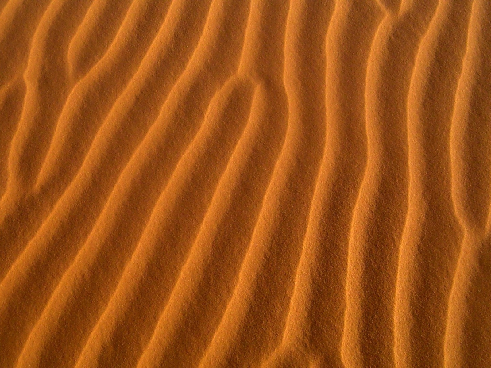 Обои Sand Waves 1600x1200
