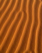 Sand Waves wallpaper 176x220