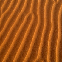 Das Sand Waves Wallpaper 208x208