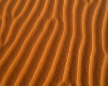 Sand Waves screenshot #1 220x176