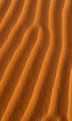 Das Sand Waves Wallpaper 240x400