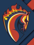 PFC CSKA Moscow wallpaper 132x176