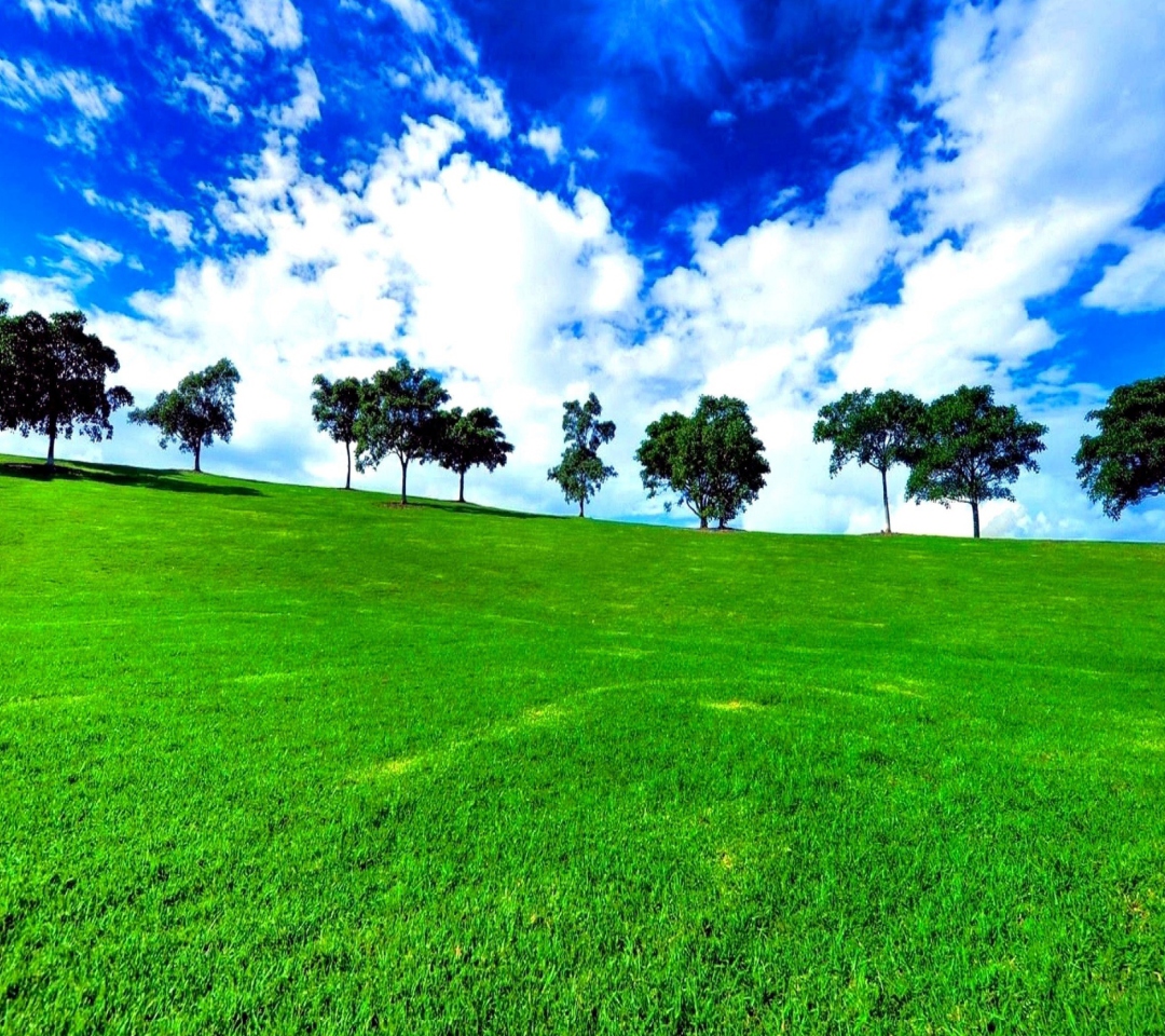 Das Green Landscape Wallpaper 1080x960