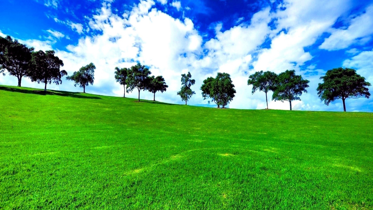 Green Landscape wallpaper 1280x720