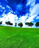 Green Landscape wallpaper 128x160