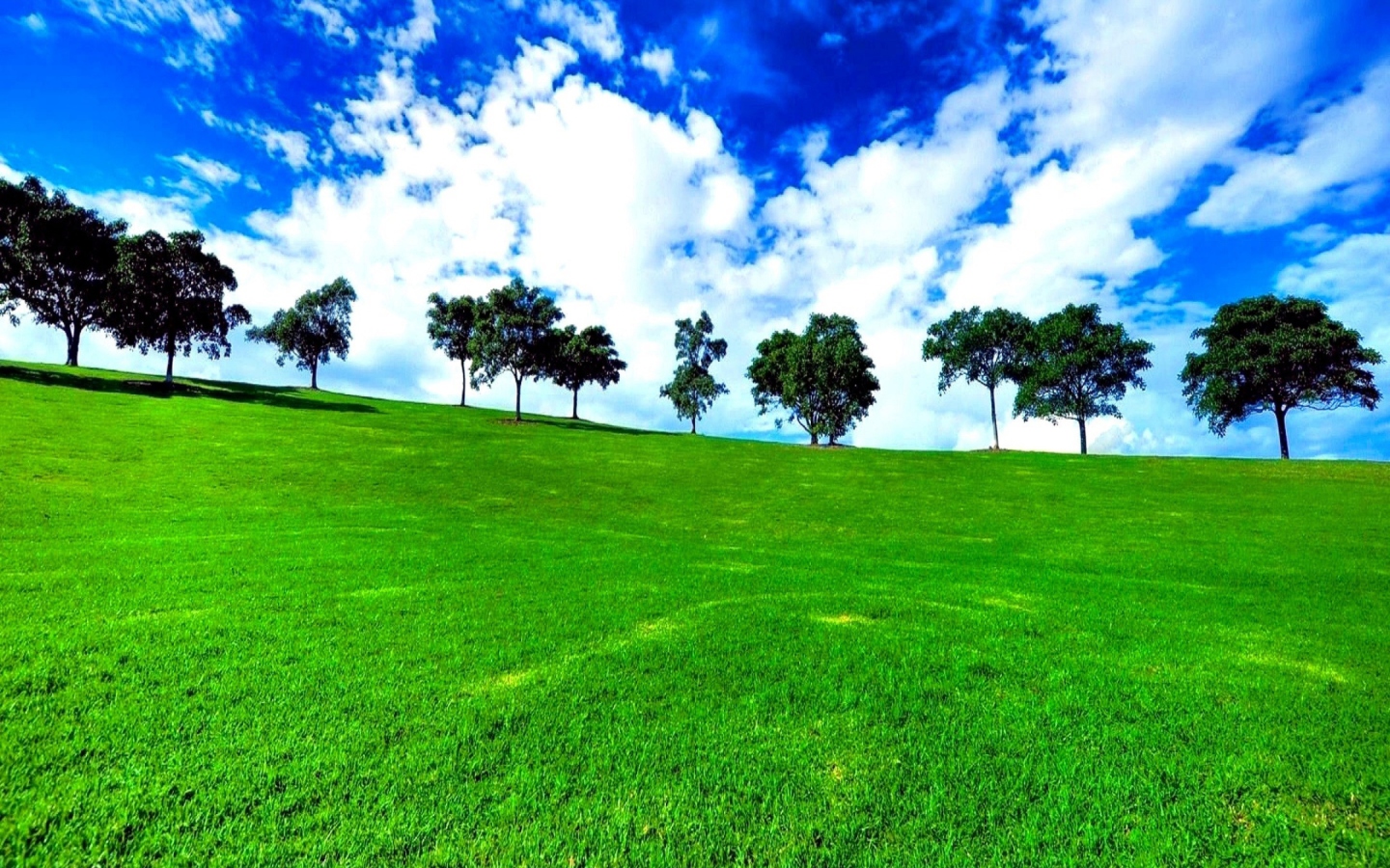Fondo de pantalla Green Landscape 1440x900