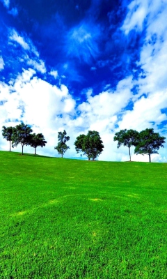 Green Landscape wallpaper 240x400