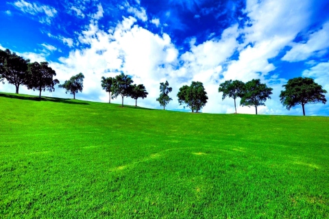 Green Landscape screenshot #1 480x320