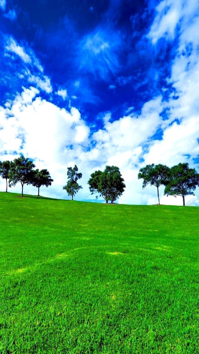 Das Green Landscape Wallpaper 640x1136