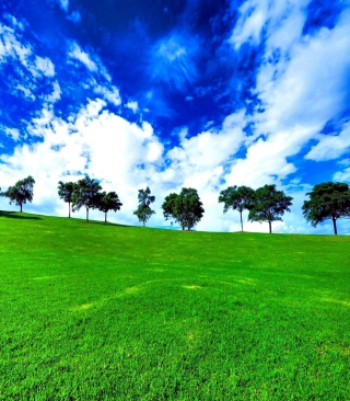 Green Landscape - Obrázkek zdarma pro iPhone 4S