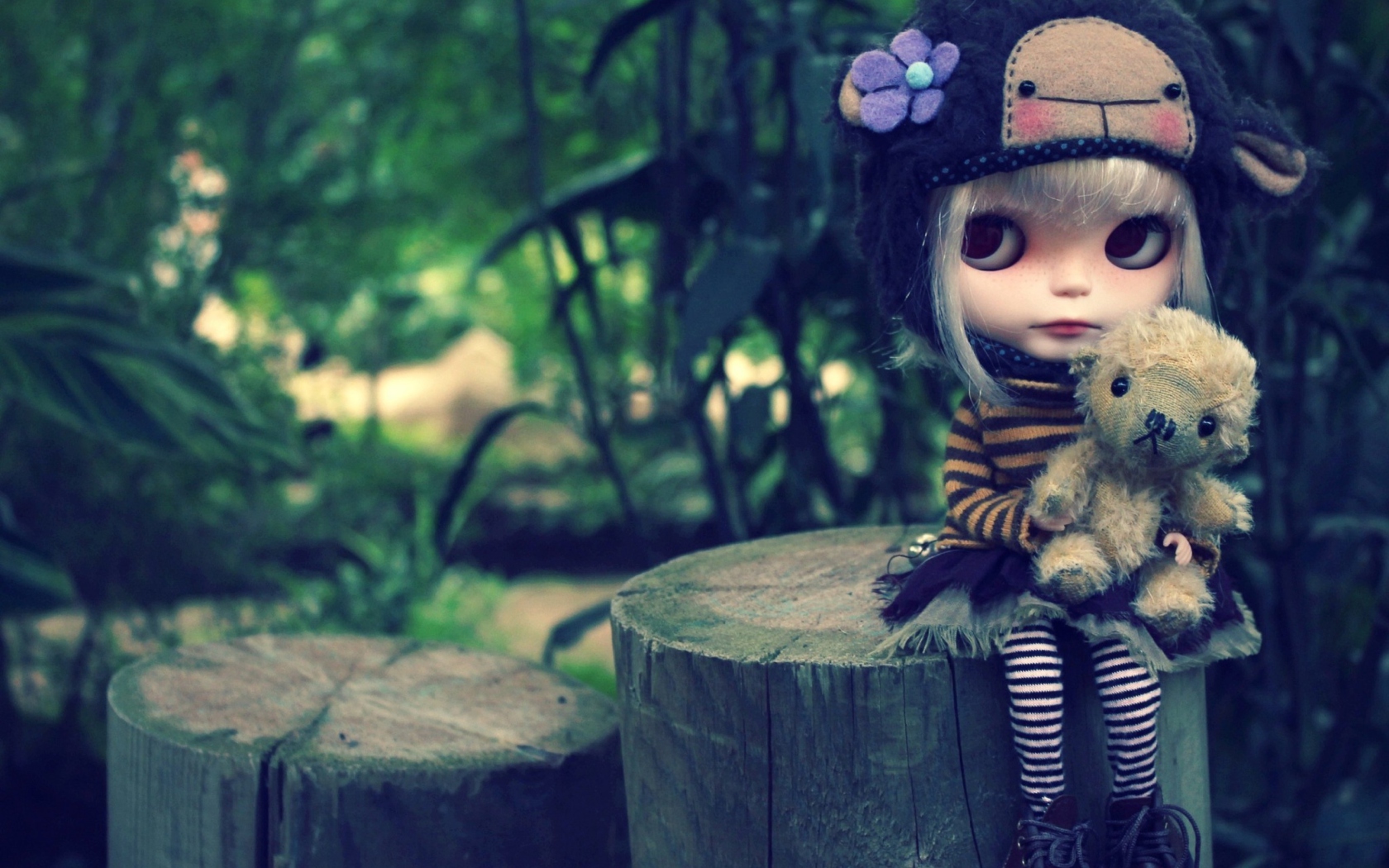 Fondo de pantalla Cute Doll With Teddy Bear 1680x1050